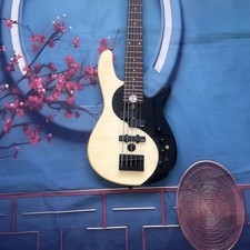 5strings  Electric Bass Guitar