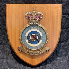 Rare/Vintage Royal Air Force 2 SQUADRON Mess Wall Plaque/Shield-Hand-painted