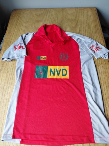 2013 kings punjab ipl - 2013,