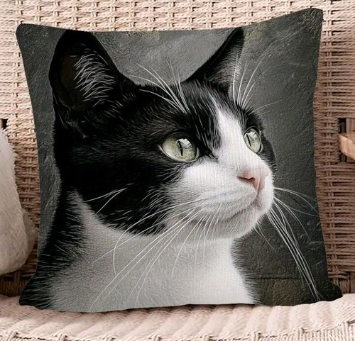 Beautiful black white - white, cat