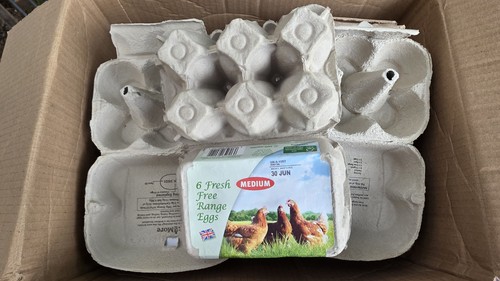 Reclaimed empty cardboard egg - reclaimed,