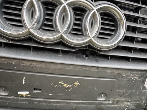 Audi cabrio 2004 08 - cabrio, 2004-08
