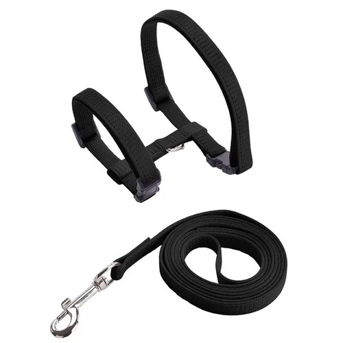 Adjustable cat harness lead - harness, &