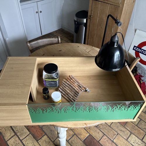 Vivexotic tortoise table - vivexotic,