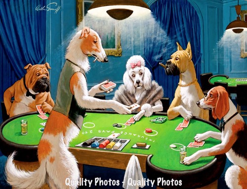 Dogs playing blackjack 5x11 - playing, 8.5x11"