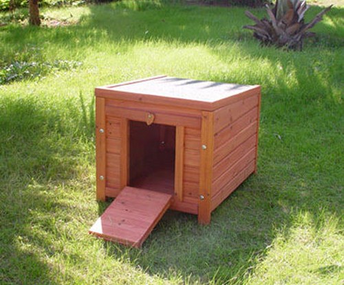 Rabbit guinea pig chicken duck - rabbit,
