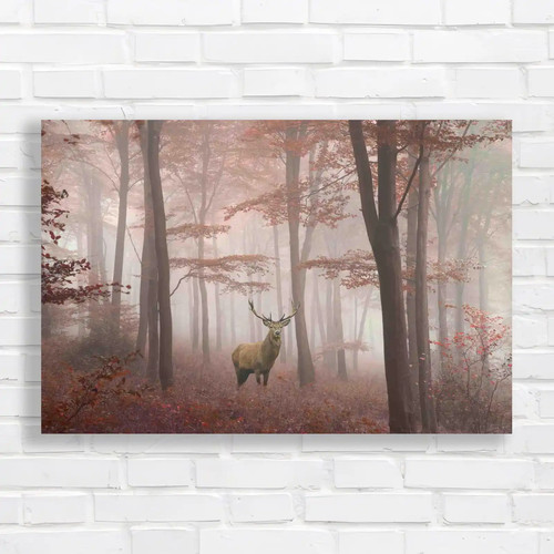 Captivating autumn deer stag - deer,