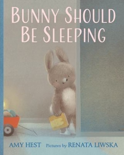 Bunny should sleeping - bunny,