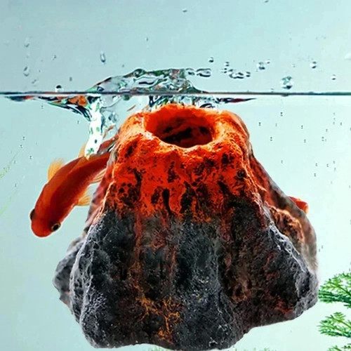 1pc fish tank - fish,