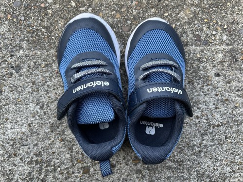 Elefanten baby trainers