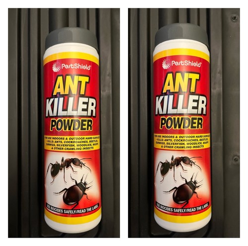 Ant crawling insect - 2,