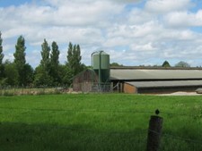 Photo 6x4 Tolehurst Farm