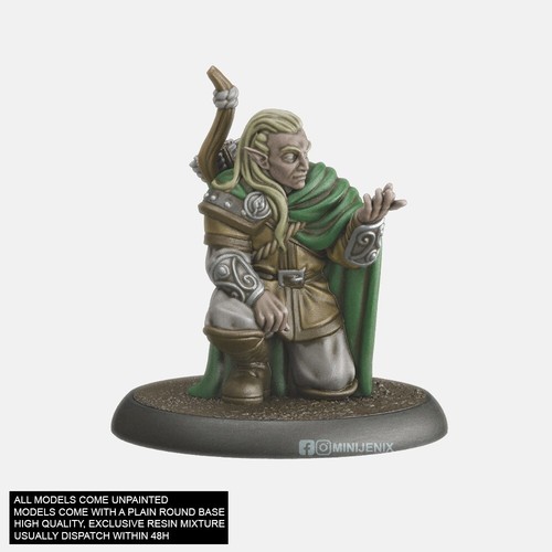 Elf ranger hunter - ranger,