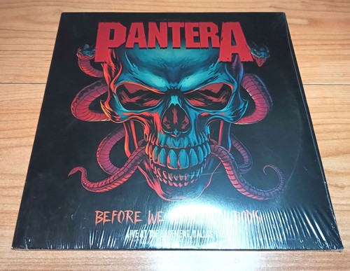 Pantera before we were - pantera,