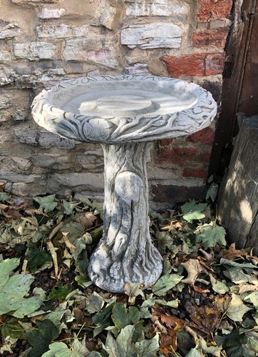 Tree trunk stump base - , bird