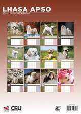 Lhasa Apso Dog 2026 A3 Calendar