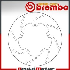 Brake Disc Fixed Brembo Oro