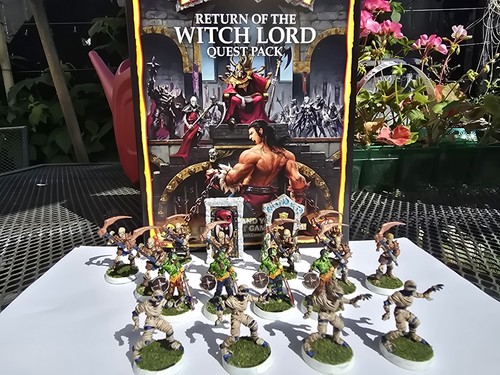 Heroquest return the witch - of,