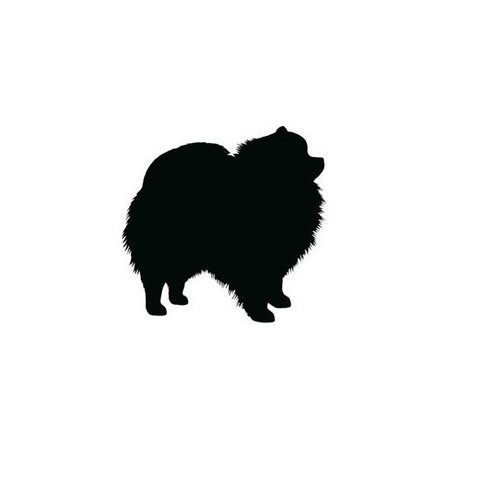Love pomeranian dog socks - love,