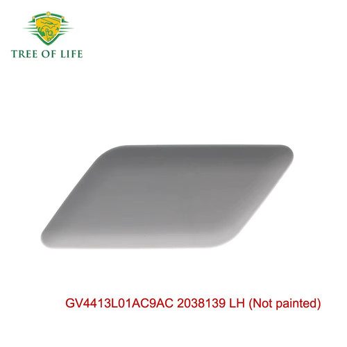 Front headlight washer - headlight,
