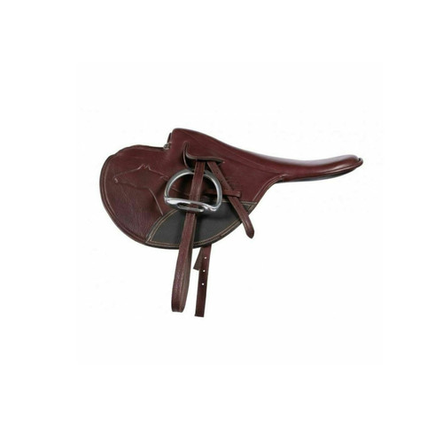 Lightweight racing horse - racing,