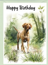 Hungarian Vizsla Dog Birthday