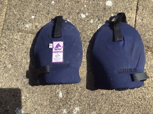 Rodney powell back protector - powell,