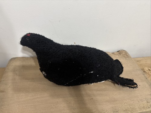 Antique swedish black grouse - black,