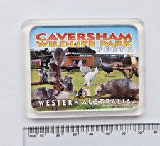 Caversham Wildlife Park FRIDGE MAGNET