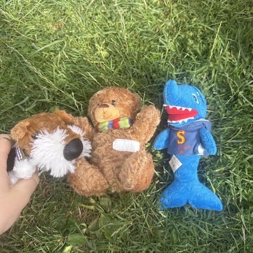 Small teddy bundle - small,
