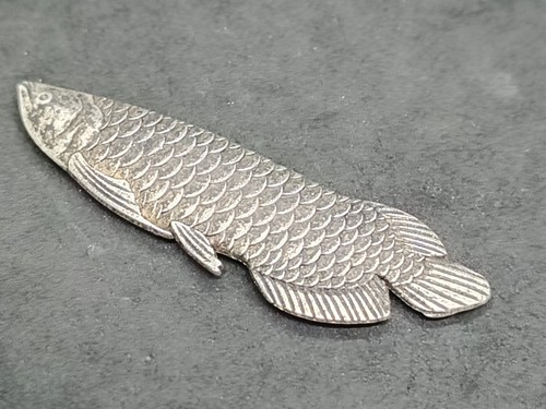 Lucky arowana fish feng shui - fish,