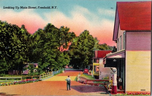 Freehold new york looking - new,