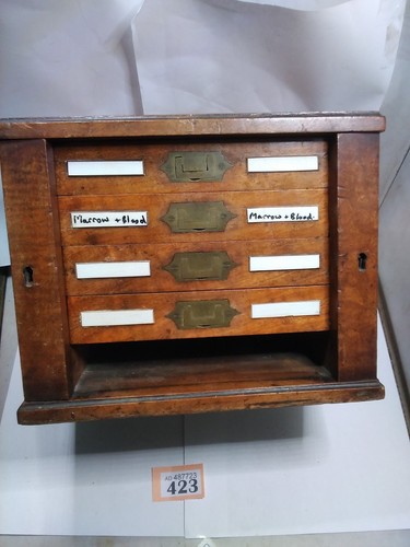 Campaign chest drawers - chest,