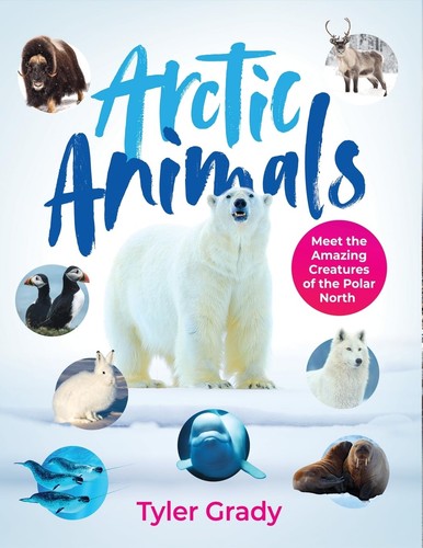 Arctic animals wildlife - arctic, (wildlife