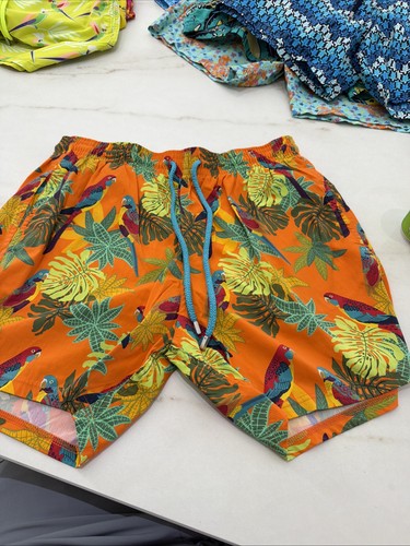 Vilebrequin men swim - men's,
