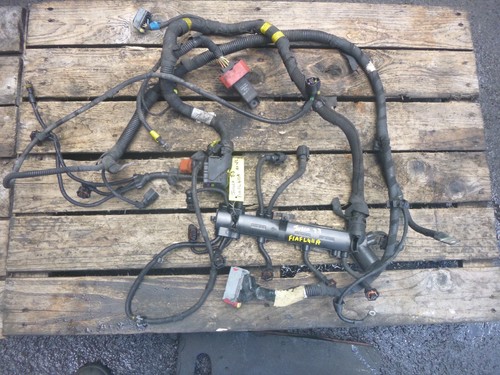 Iveco daily td engine - daily,