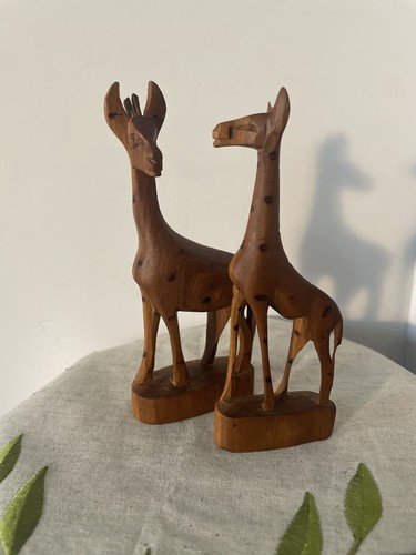 Giraffe authentic kenya - 2,