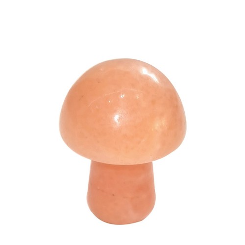 10pcs mushroom shaped natural - mushroom,