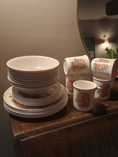 Vintage Carole Andrews Toadstool Melamine dinner Set 27 Pieces Picnic Camping