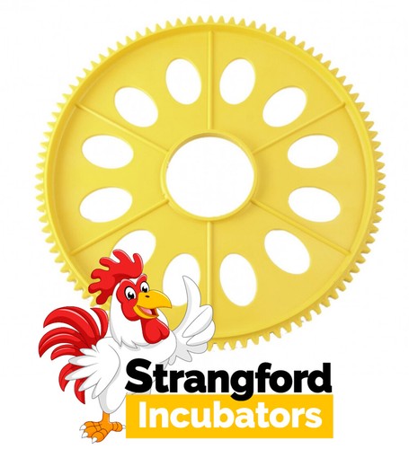 One small egg disk for - one,