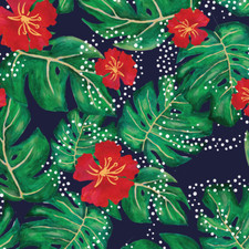 Sarah Payne Birds of Paradise