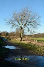 Photo 12x8 Puddles along the