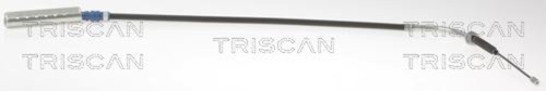 Triscan parking brake - triscan,