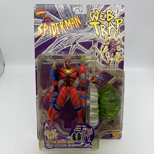 New rare spider - new, web