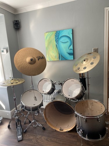 Drum kit pdp with maple - dw,