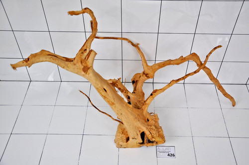 Premium natural aquarium red - natural,