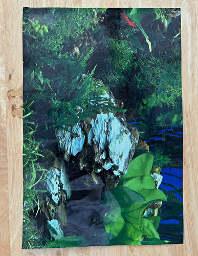 Aquarium fish tank background - aquarium,
