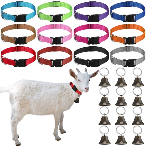 Sets goat collars - goat,