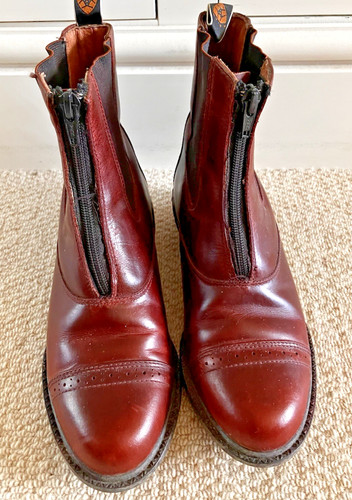 Ariat cobalt devon - cobalt, vx