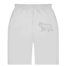 'English Bulldog' Adult